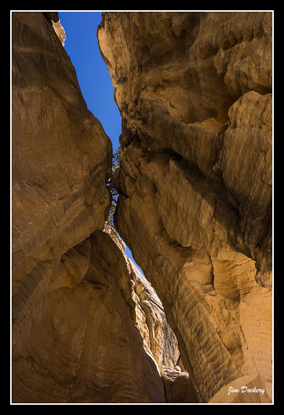 Willis-Canyon_0453.jpg
