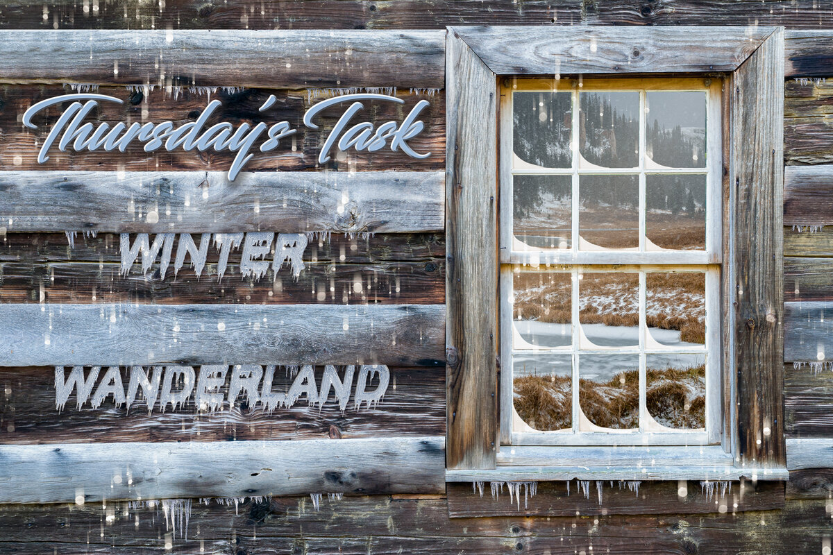 winter wanderland_DSC0185.jpg