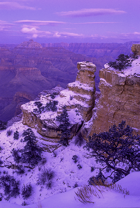 Yaki Point FW.jpg