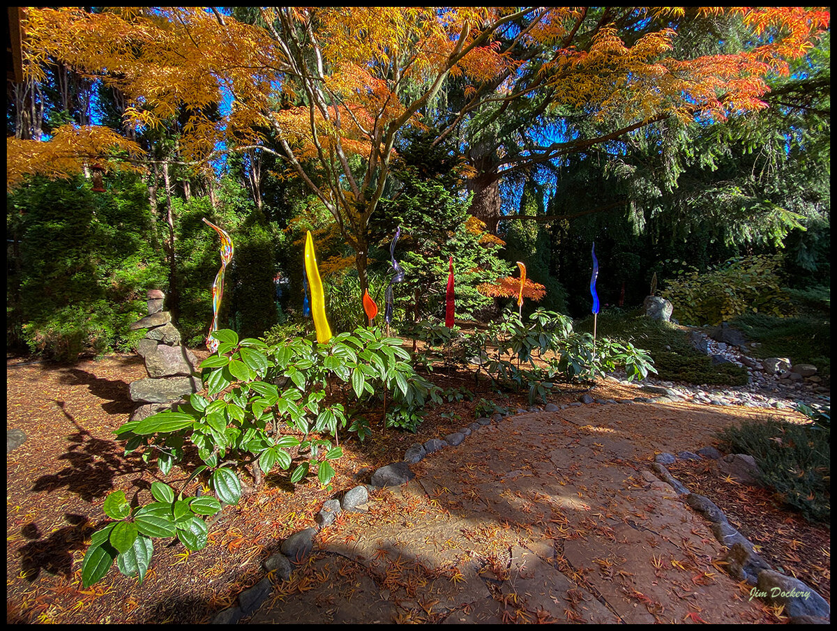 Yard-11.8.20-42-hd.jpg