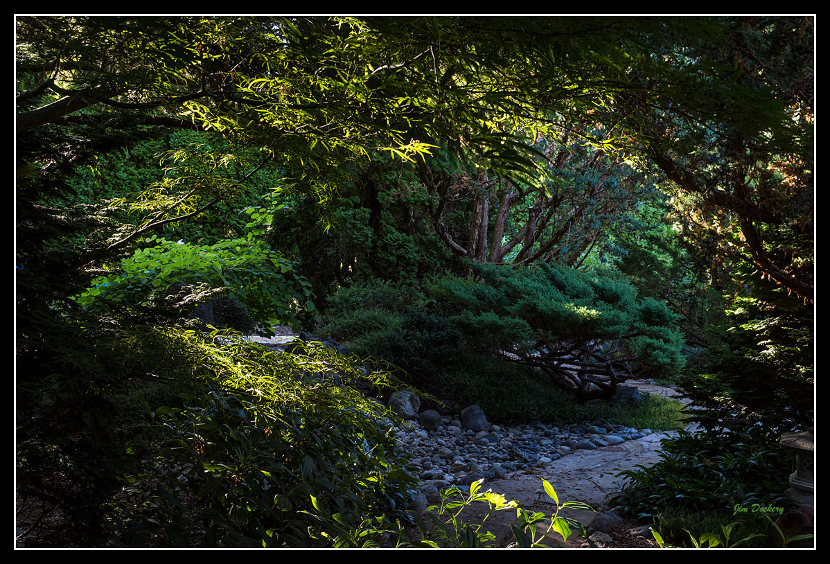 Yard-8.6.13-(7).jpg