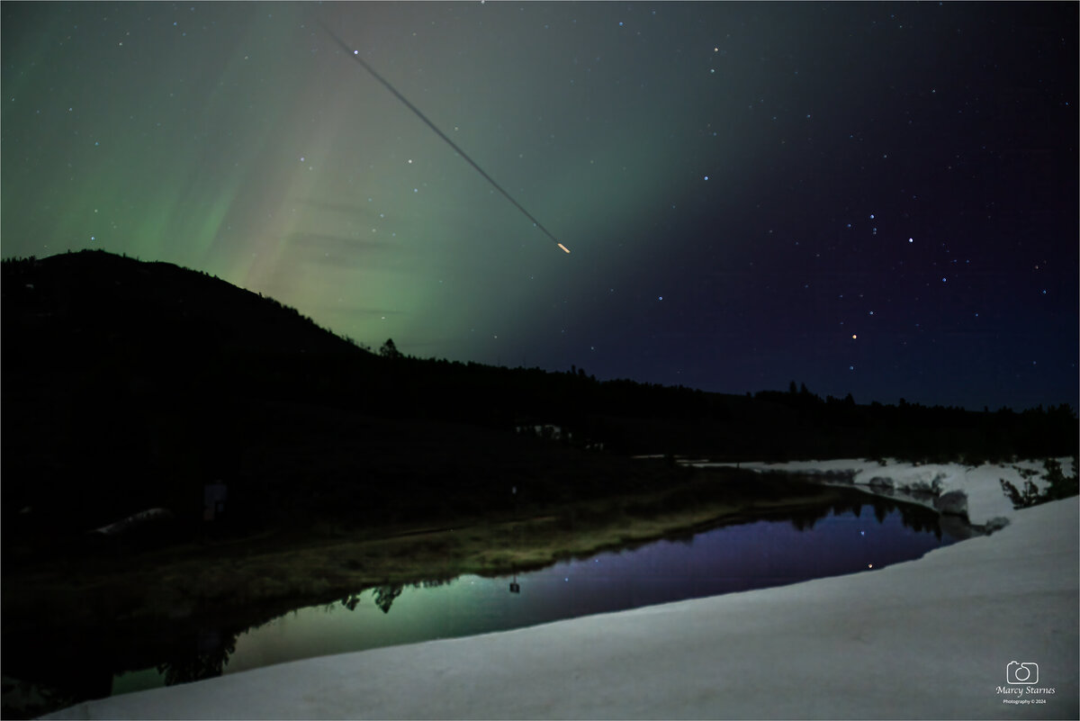 ynp_NL_3_web.jpg