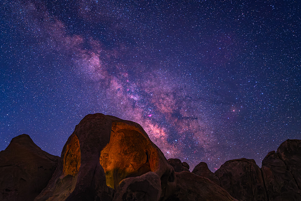 Z62_6599_dw.jpg