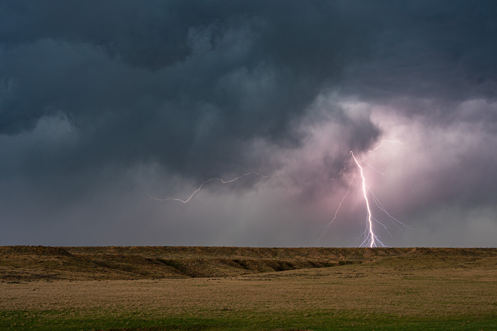 Z63_0907_dw.jpg