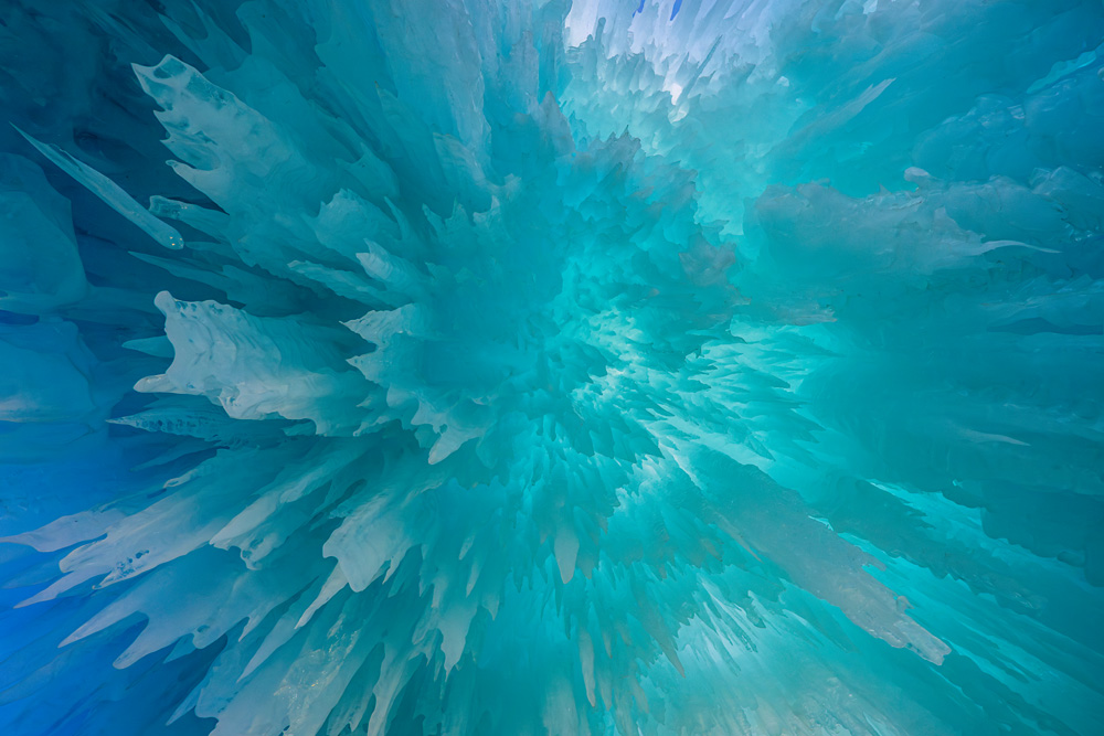 Z63_2136_dw.jpg