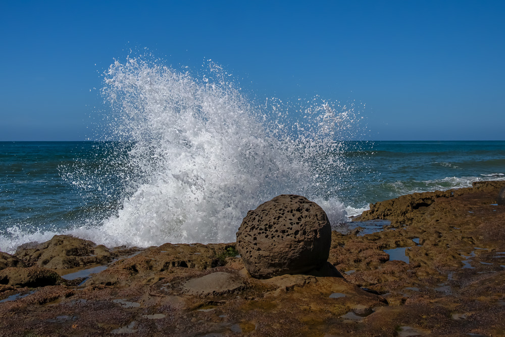 Z63_3108_dw.jpg