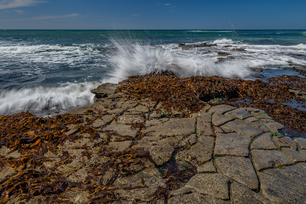 Z63_3498_dw.jpg
