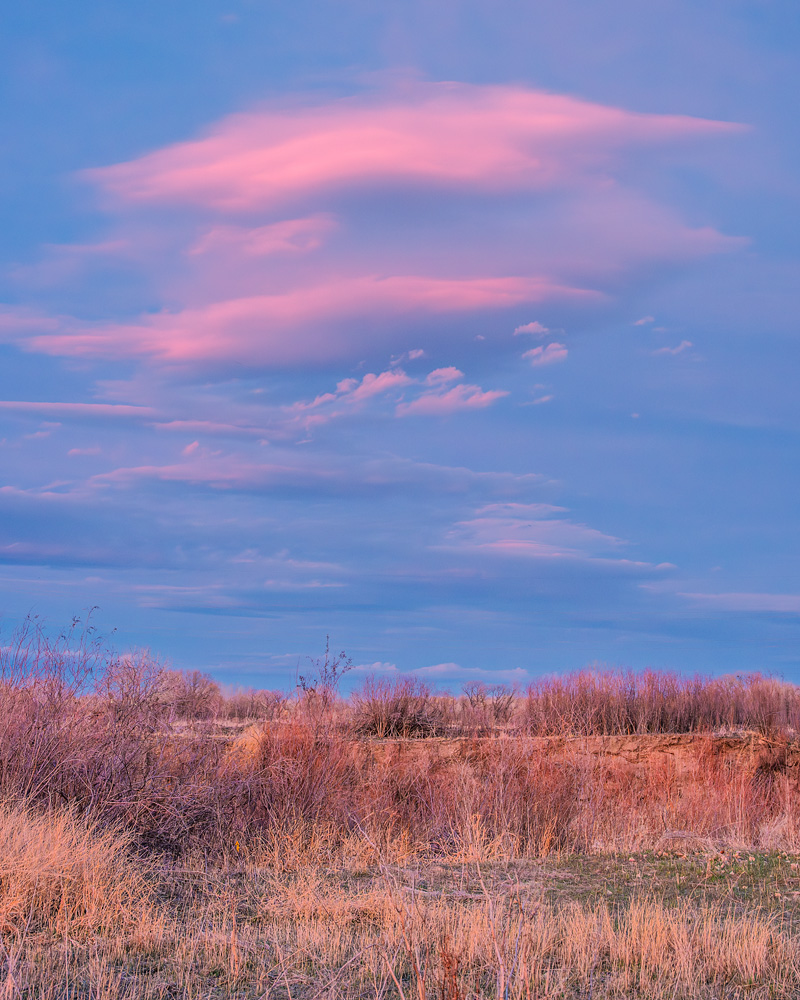 Z63_4964_4x5_dw.jpg