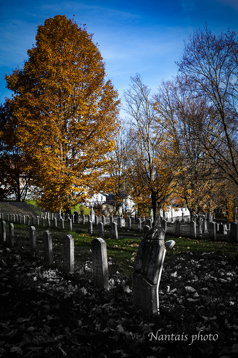 ZFC_0269s.jpg