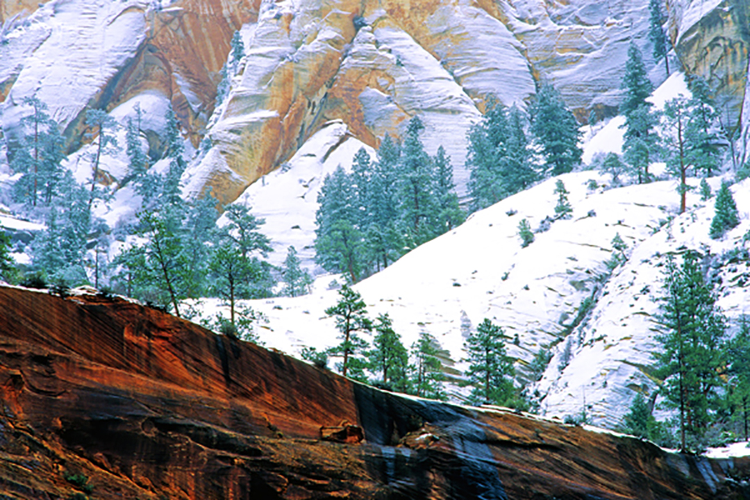 zion snow final.jpg