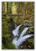 PNW 15 Sol Duc 3 Falls 233 Display.jpg