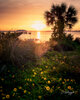 5W2A4783-Edit.jpg