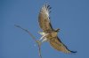 DSC_0552.jpg