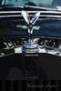 RNZ_0549s.jpg