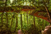 _DSC0117-Edit-2.jpg