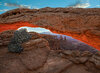 _DSC1781_DxO-Edit.jpg