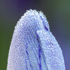 4347 to 4380 stack copy 2square.jpg