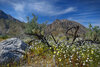_DSC2551 copy.JPG