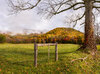 _DSC1814-NEF_DxO_HQ-Pano-Edit.jpg