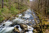 _DSC2334-Edit.jpg