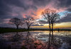 _DSC6229-1 copy.jpeg