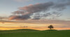 _DSC2106-v2 copy.jpeg