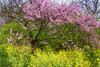 _DSC0100-Edit.jpg