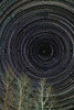 Star Trails Cleaned-Edit-2.jpg