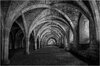 _DSC6665-1 copy.jpg