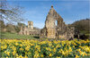 6609 6610 pano copy.jpg