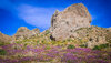2026.03.13 - Trona Pinnacles 06.jpg
