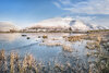 _DSC1239-Pano-2-1 cropped more 6 1600 no stroke.jpeg
