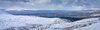 _DSC7959-1 copy.jpg