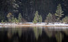 _DSC7930-1 copy.jpg