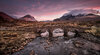 _DSC4516-Edit 2.jpg