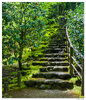 C5D_PJGStairs051408.jpg