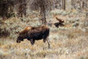 _DSC5608-Edit.jpg