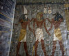 IMG_7663.jpg