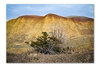 Badlands 032426-24-Edit_Original ratio_1807x1200_U_100.jpg