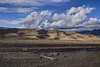 sanddunes.jpg