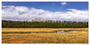 GallatinsInYellowstone.jpg