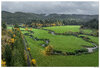 DJI_M3P_24_NForkSiuslaw110623.jpg