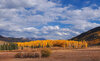 Crested Butte.jpg
