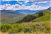 crested butte2.jpg