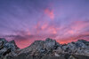 _NZ80254_dw.jpg