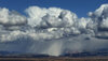 snow squall.jpg