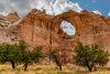 _DSC1478-Pano-Edit.jpg