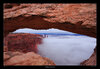 _DSC6294-X2.jpg