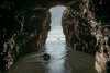 _DSC2177-2 frm laptop copy.jpg