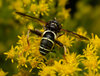 W1013088-Edit.jpg